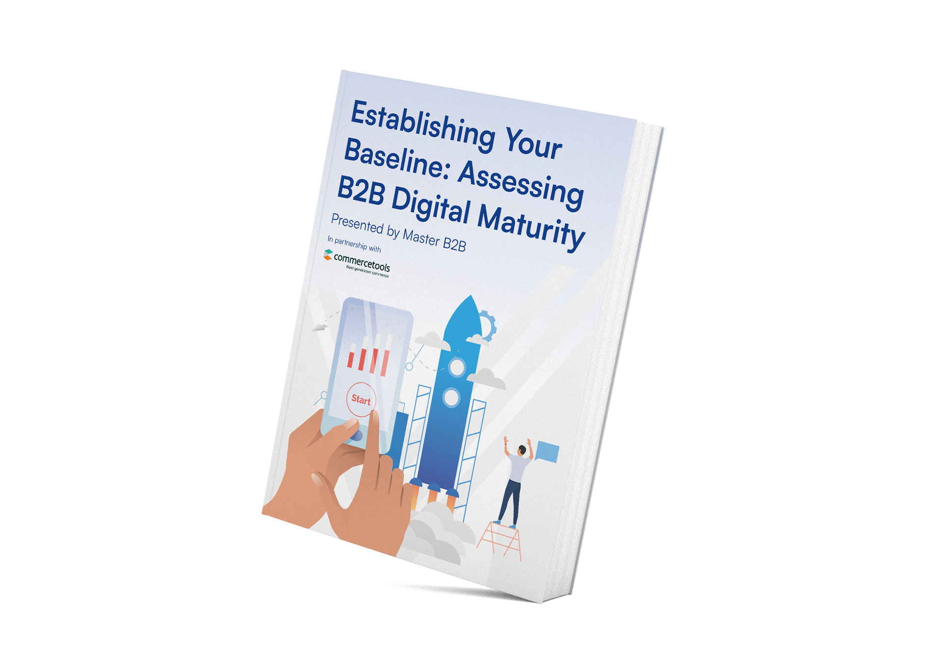 Master B2B Maturity Model Report