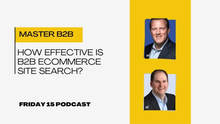 How Effective Is B2B Ecommerce Site Search?